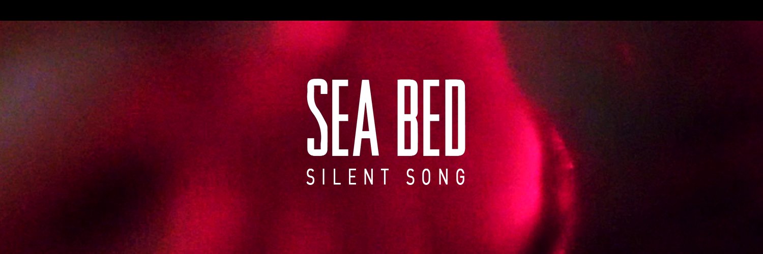 SeaBedBand's profile banner image