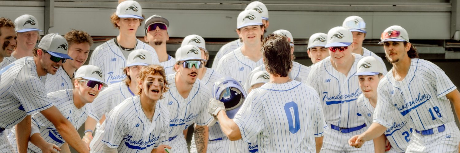 SUNY NIAGARA BASEBALL banner