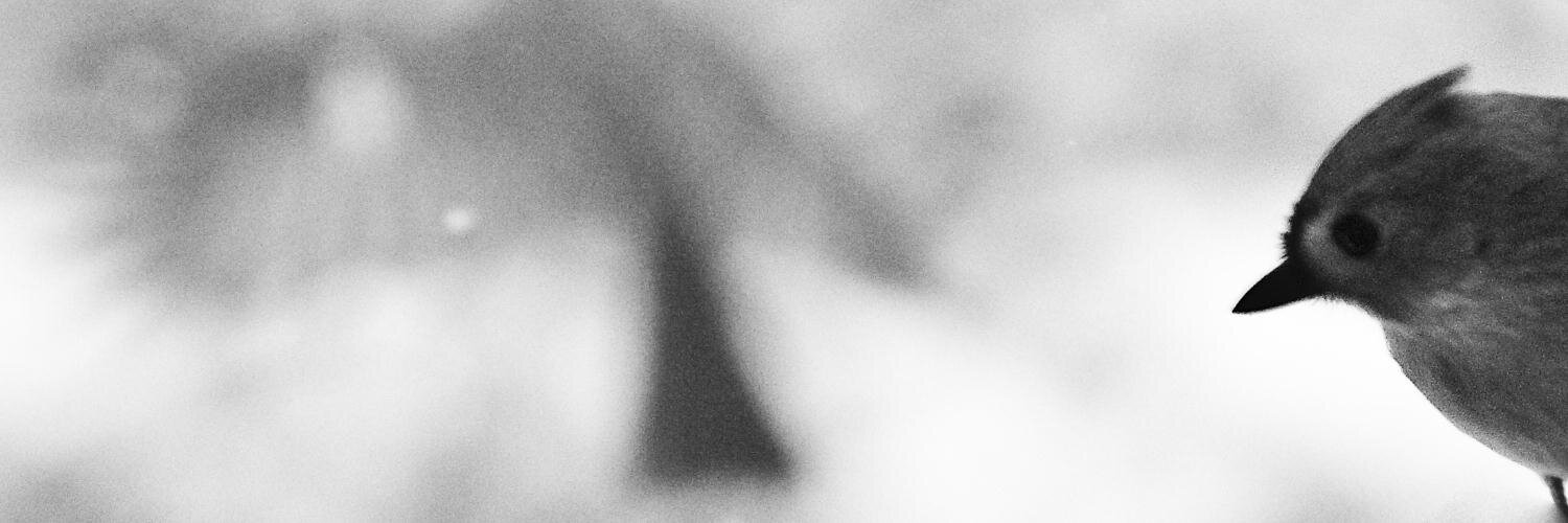 Rachel Moss FCIPR | Chart.PR banner