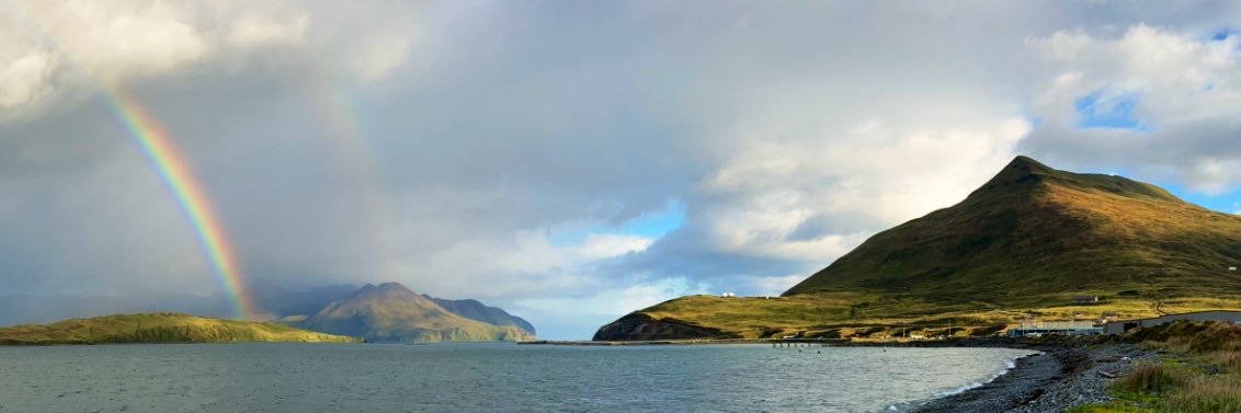 Coach Anderson banner