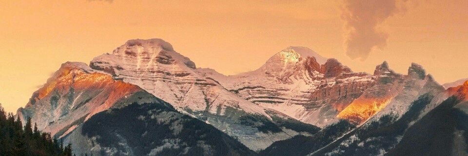 nashannache's profile banner image