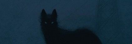 busannmimi's profile banner image