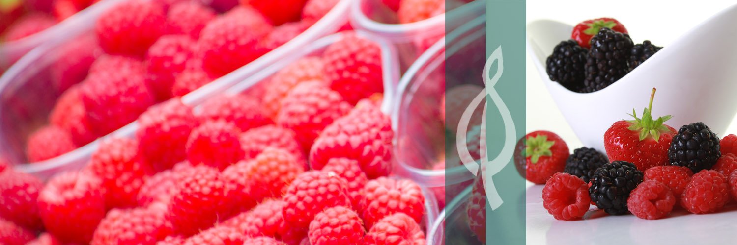 BerryBuddies's profile banner image