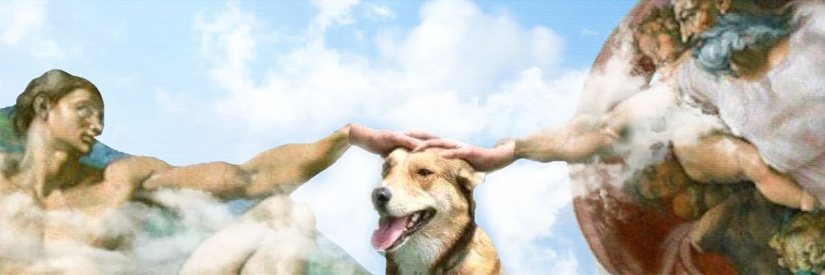 Castilloo7_'s profile banner image