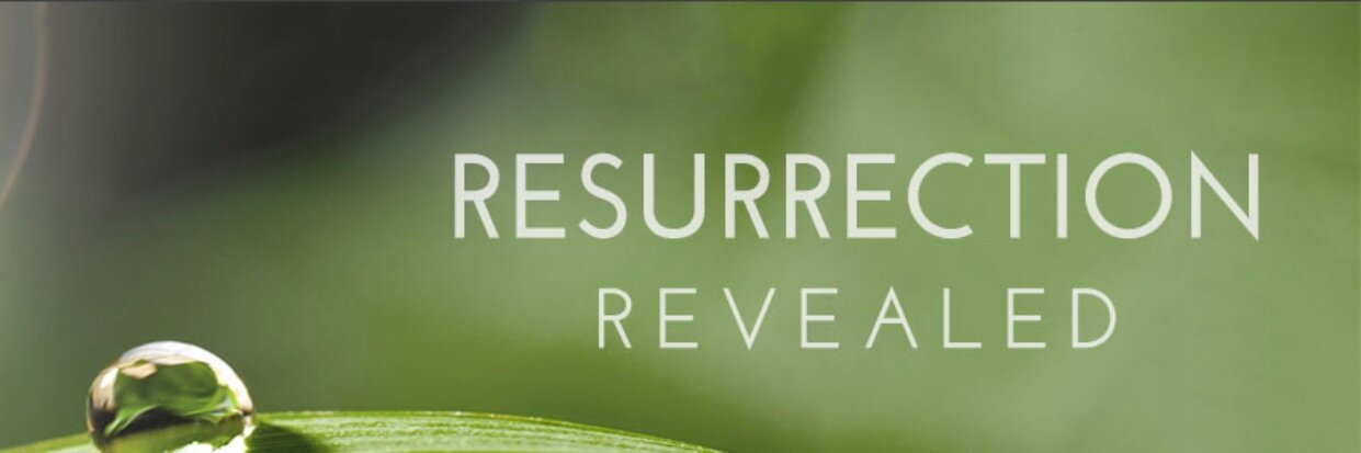 ResurrectionPod's profile banner image