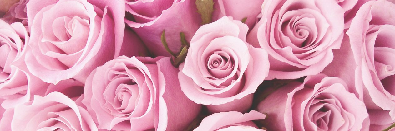true_obrien's profile banner image
