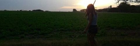 Noe_Roots's profile banner image