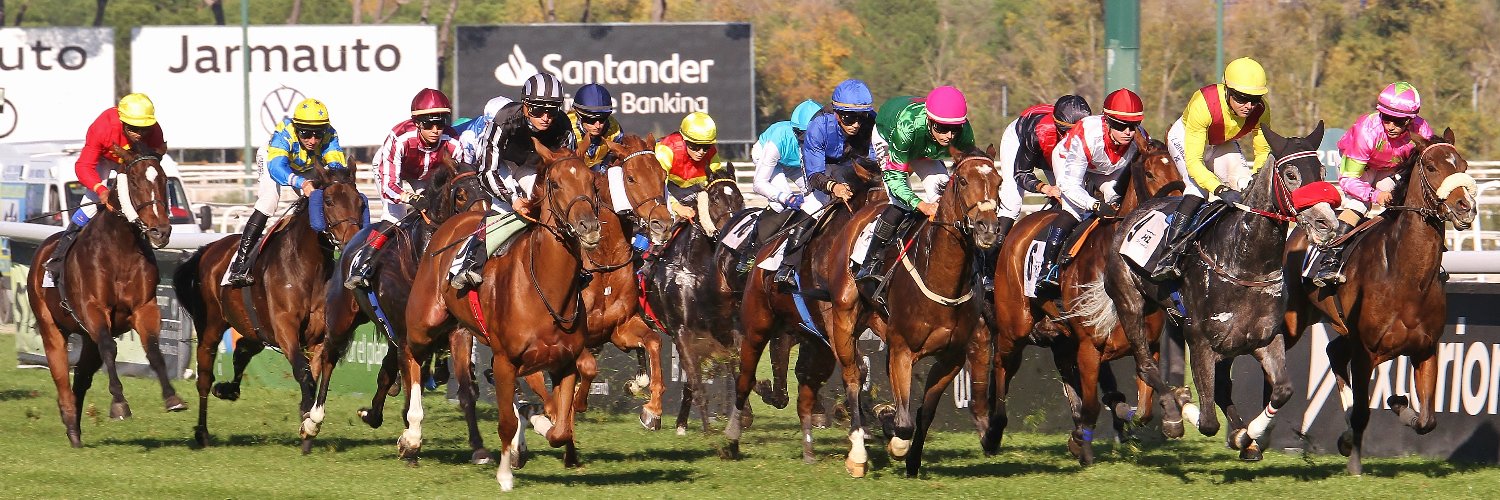 DC PRO 🐎 banner