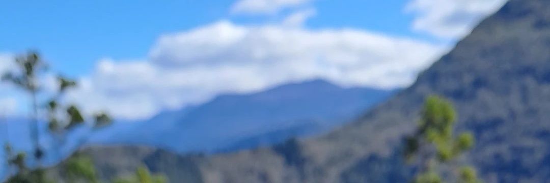 alulems's profile banner image
