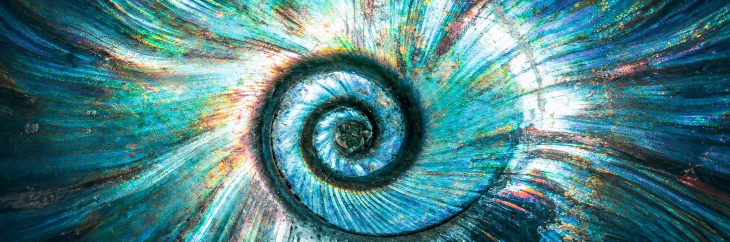 tobecelik's profile banner image