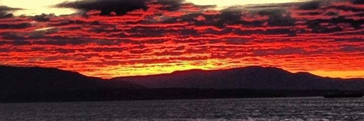 BrandiSwendt's profile banner image