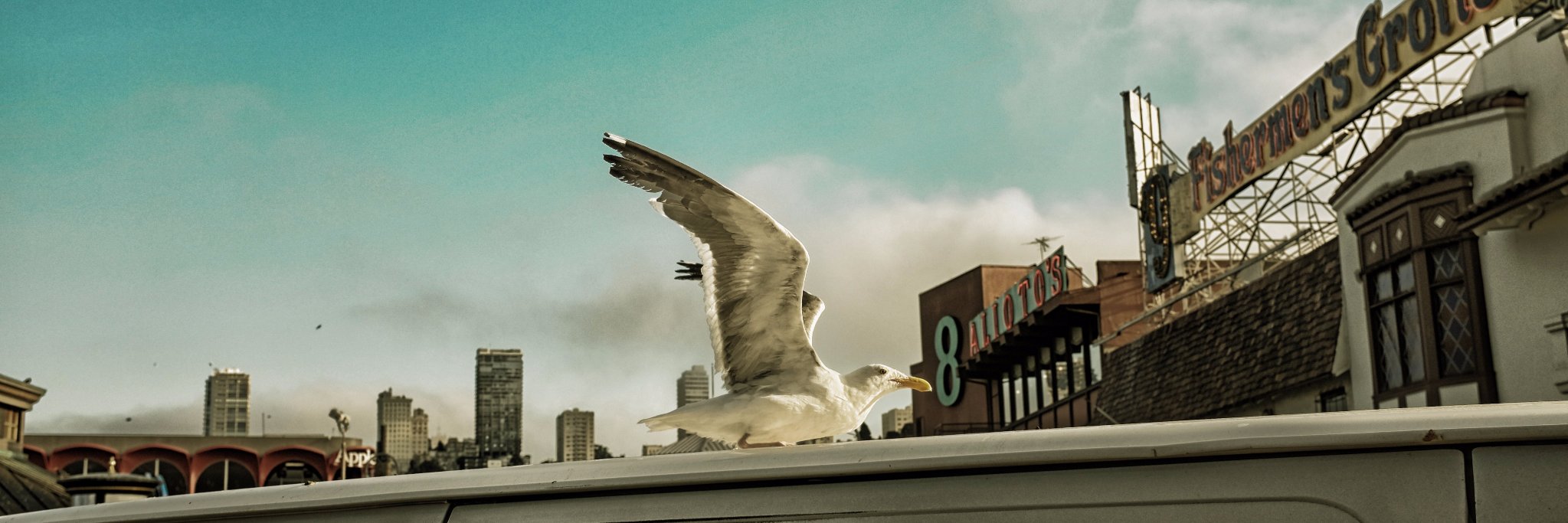 JBROUET's profile banner image