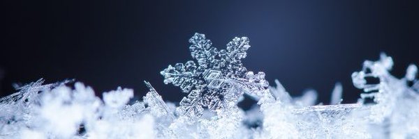 talkhard Profile Banner