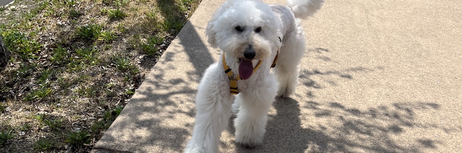 청소가재미써 banner