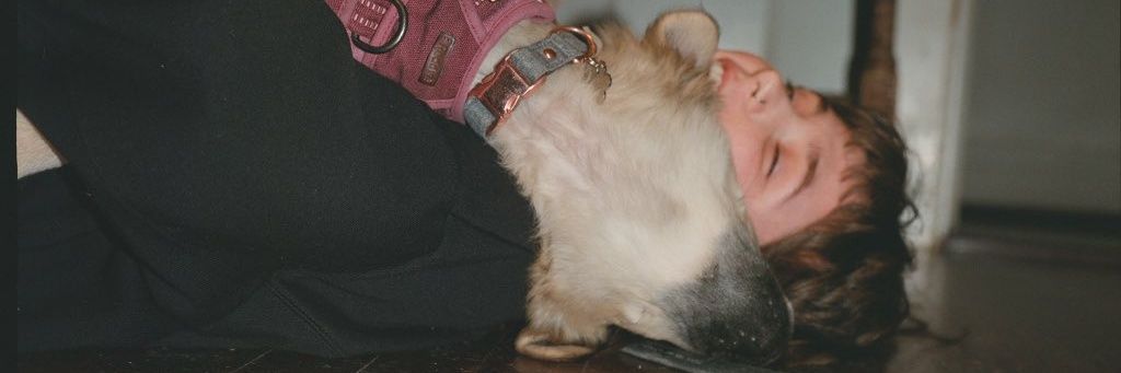 pablomonki's profile banner image