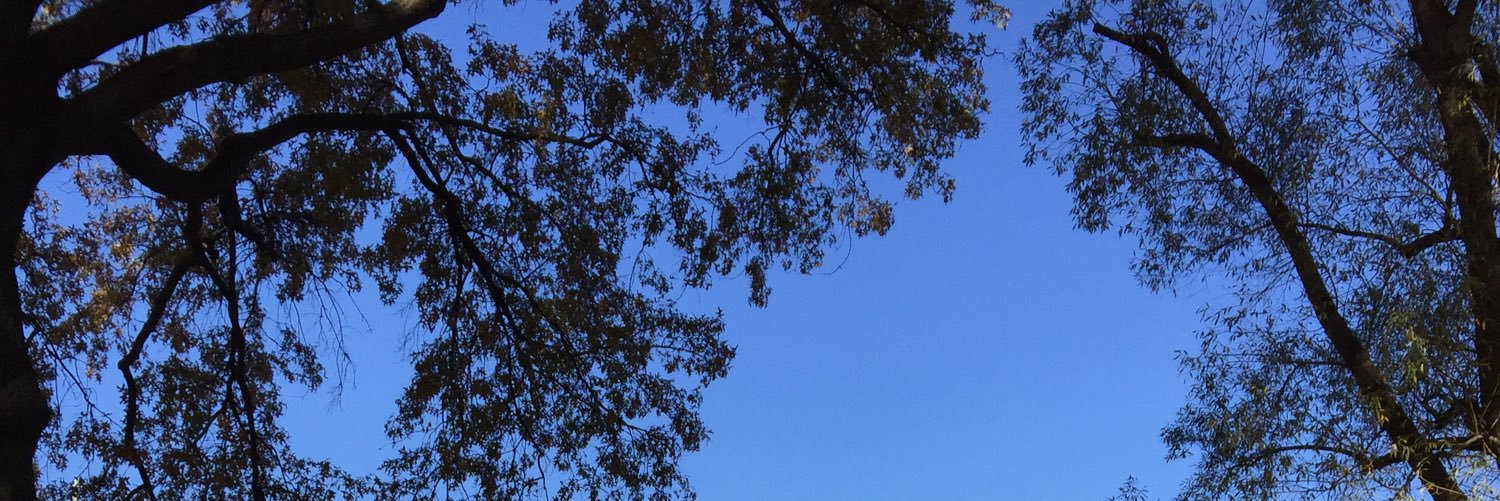 megn0481's profile banner image