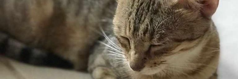 oladelewilson's profile banner image