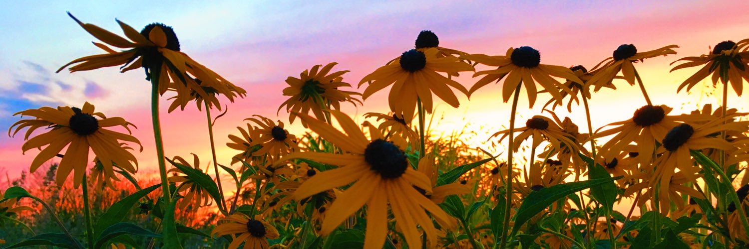 TaylorSatterthw's profile banner image