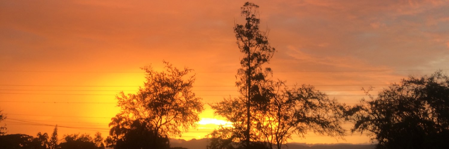nsvcali's profile banner image