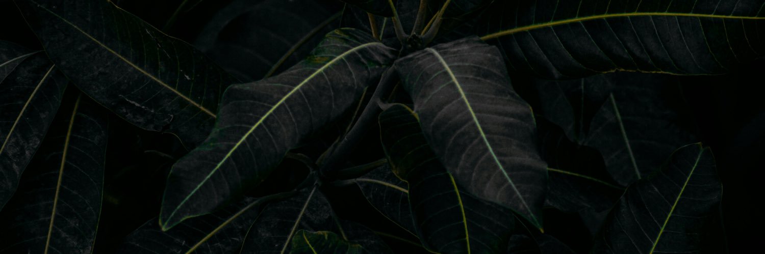 WillyMosesP's profile banner image