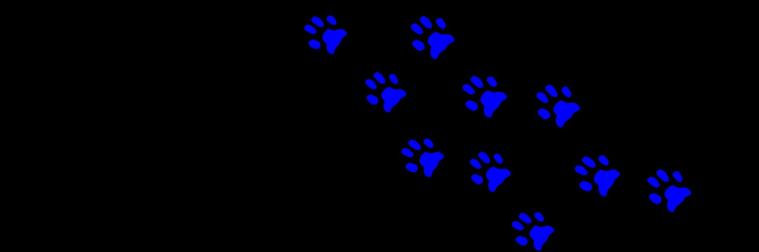 夜猫 banner