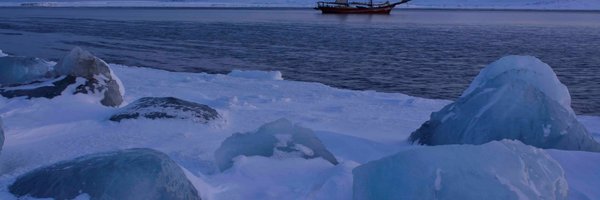 CarineDoggen Profile Banner