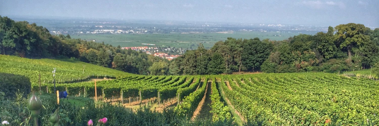 RhinelandCo's profile banner image