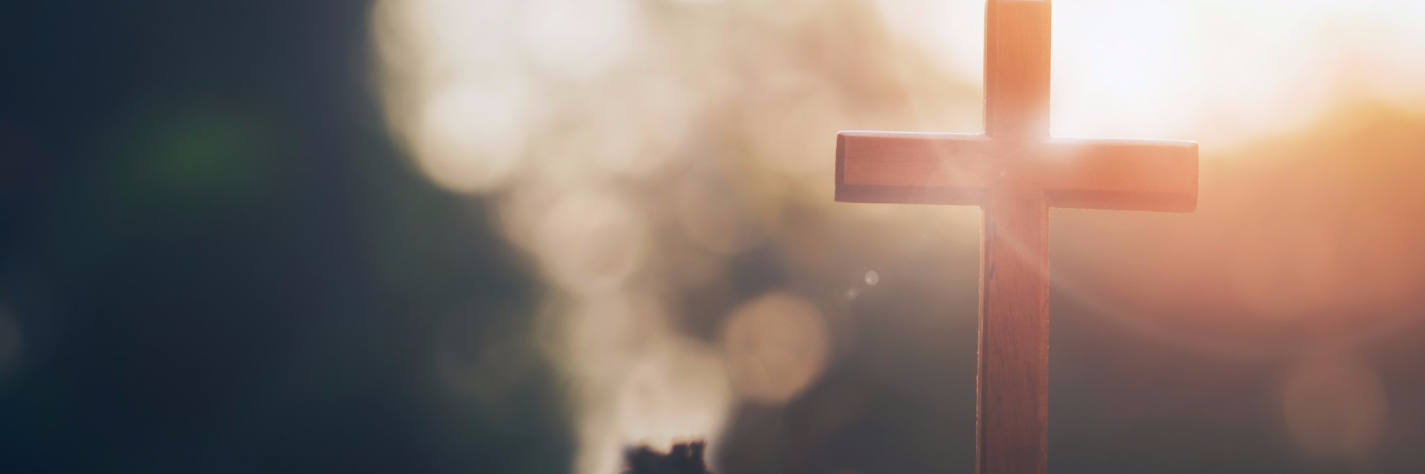 AndreeeMatute's profile banner image