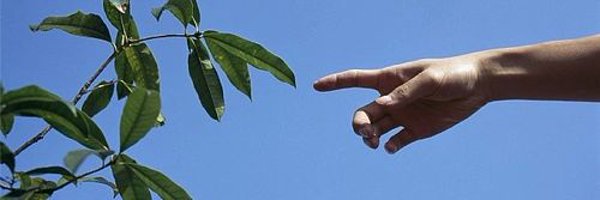 melipasquet's profile banner image