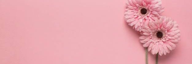 _isarlima's profile banner image