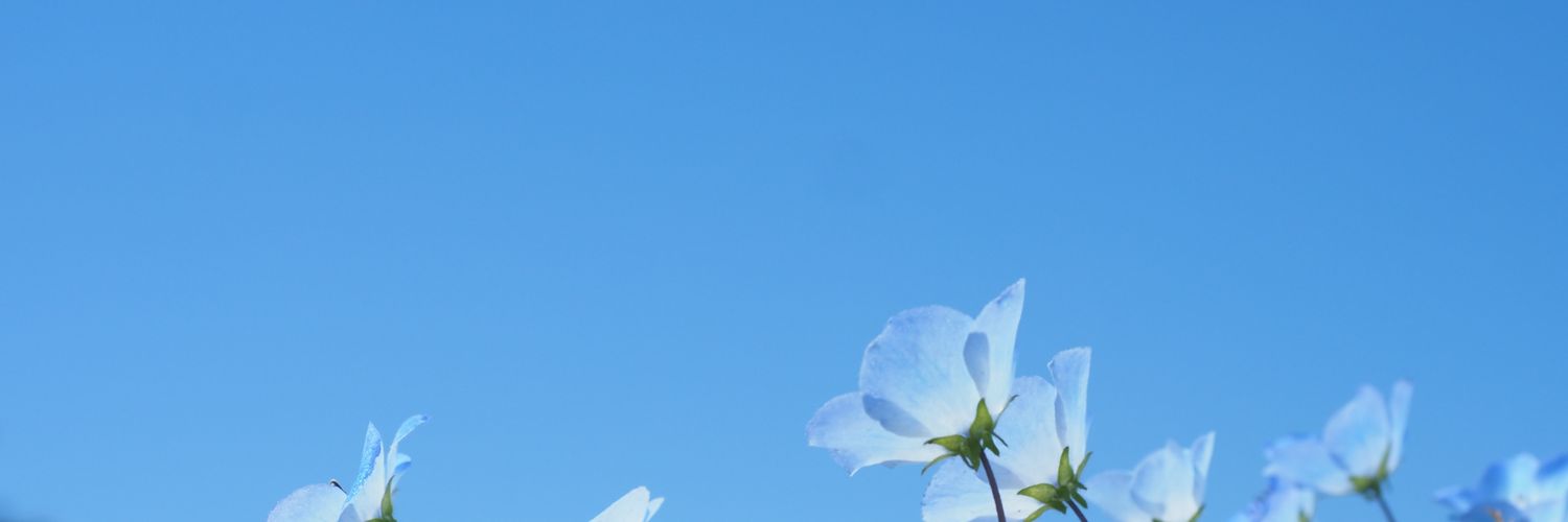 satomimisano's profile banner image