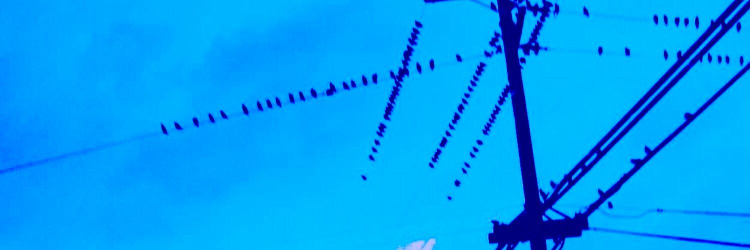 globallycool's profile banner image