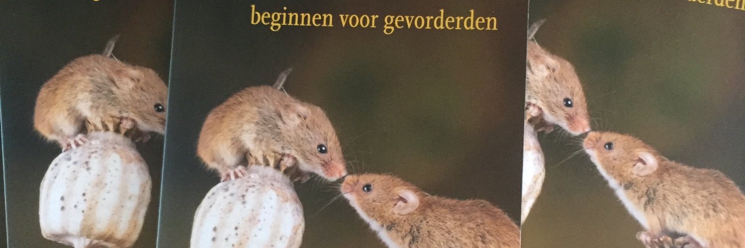 HeleneGelens's profile banner image