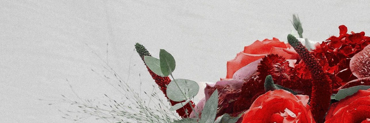 QuentinGuiomard's profile banner image