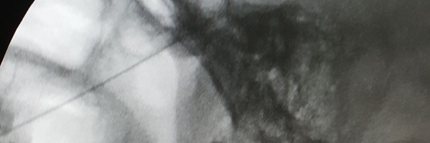 Dr. Vasquez Caicedo Muñoz, Moises banner