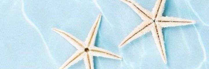 _AngieT_'s profile banner image