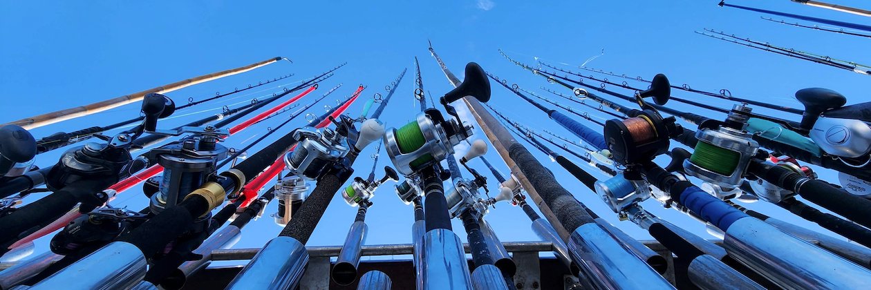 STEVENS COMPANY LTD. banner