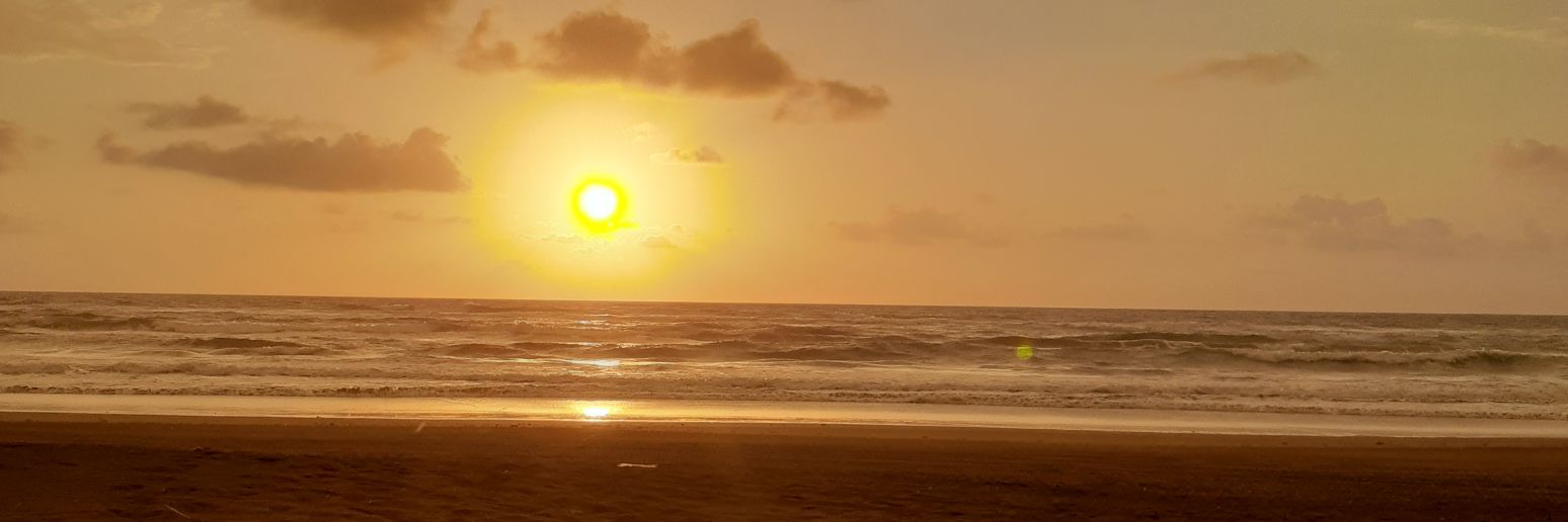 luz_acelo's profile banner image