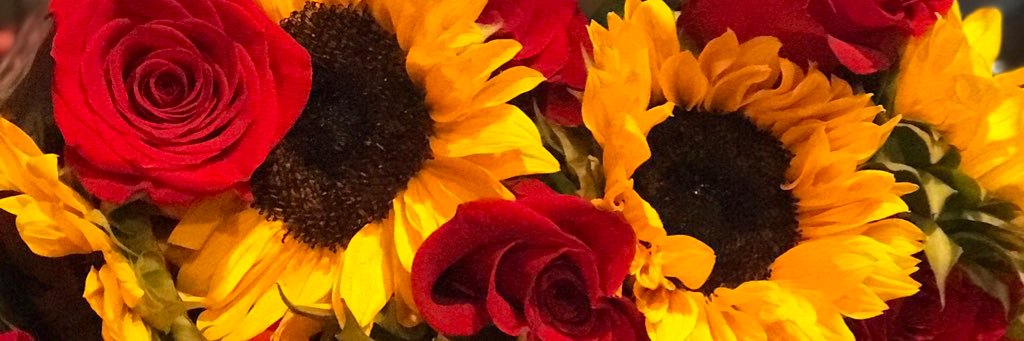 daniellethieman's profile banner image