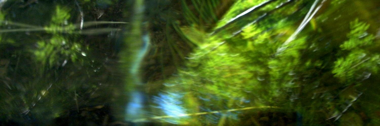 Earth Underglass banner