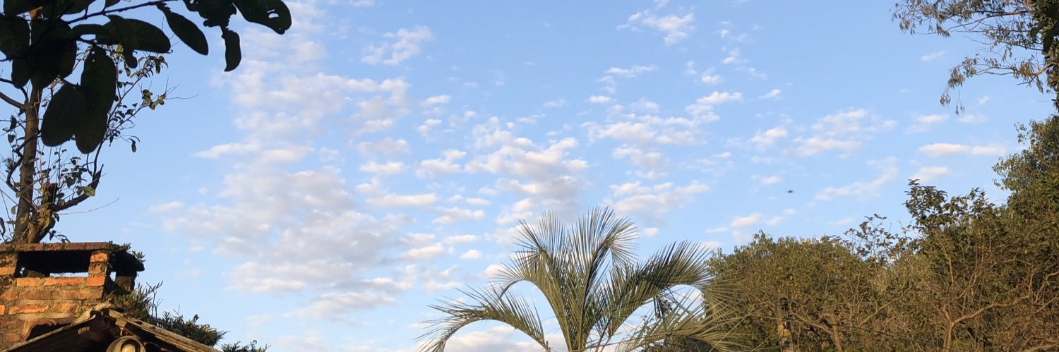liottilaura_'s profile banner image