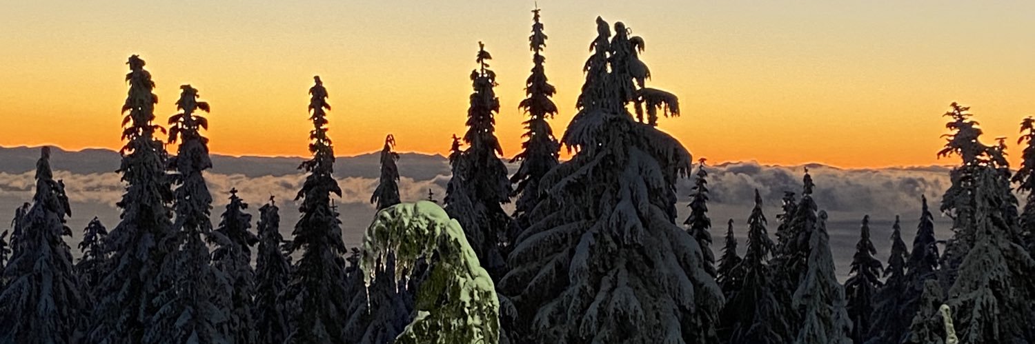 Prof. 🇮🇹🇺🇸🇨🇦 banner