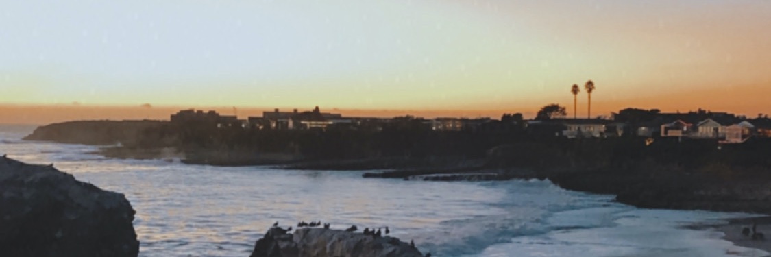 Bella Paletta banner