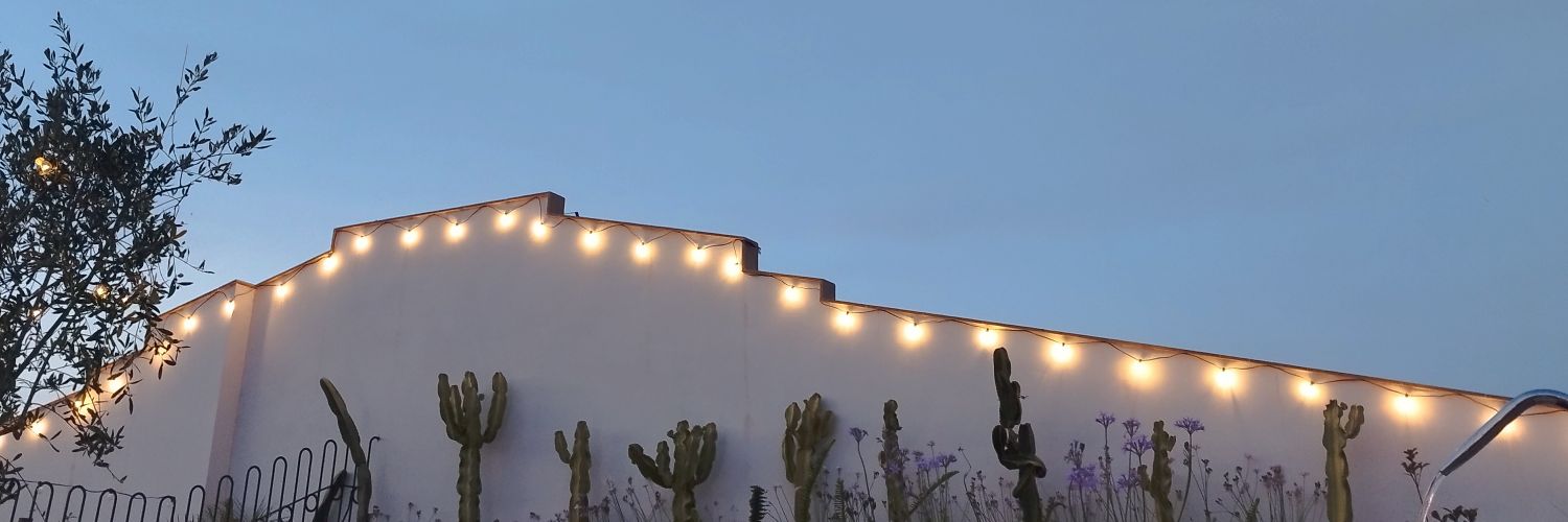 tthisisanna's profile banner image