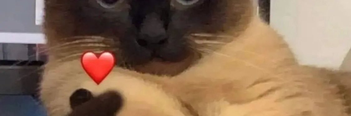 lisainiguez06's profile banner image
