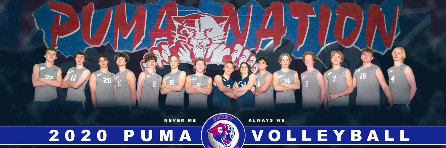 Perry Men's Vball banner