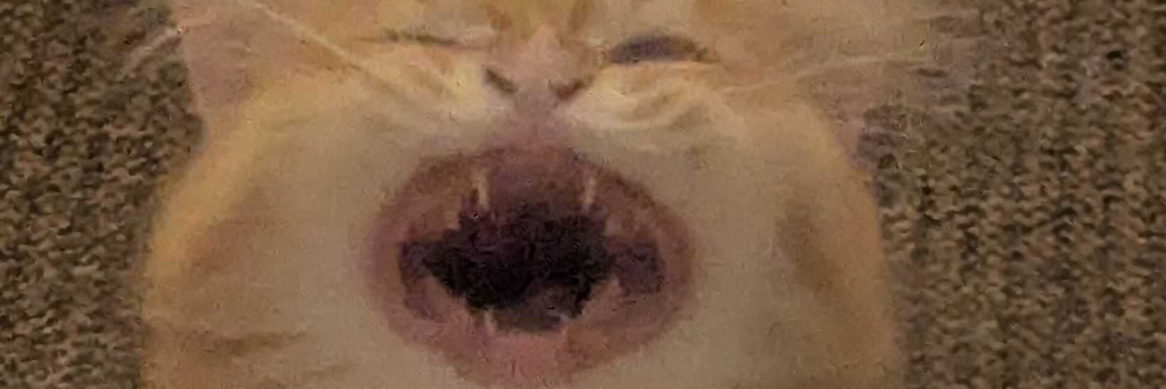 Katlyss 🇺🇦🇺🇦🇺🇦 banner