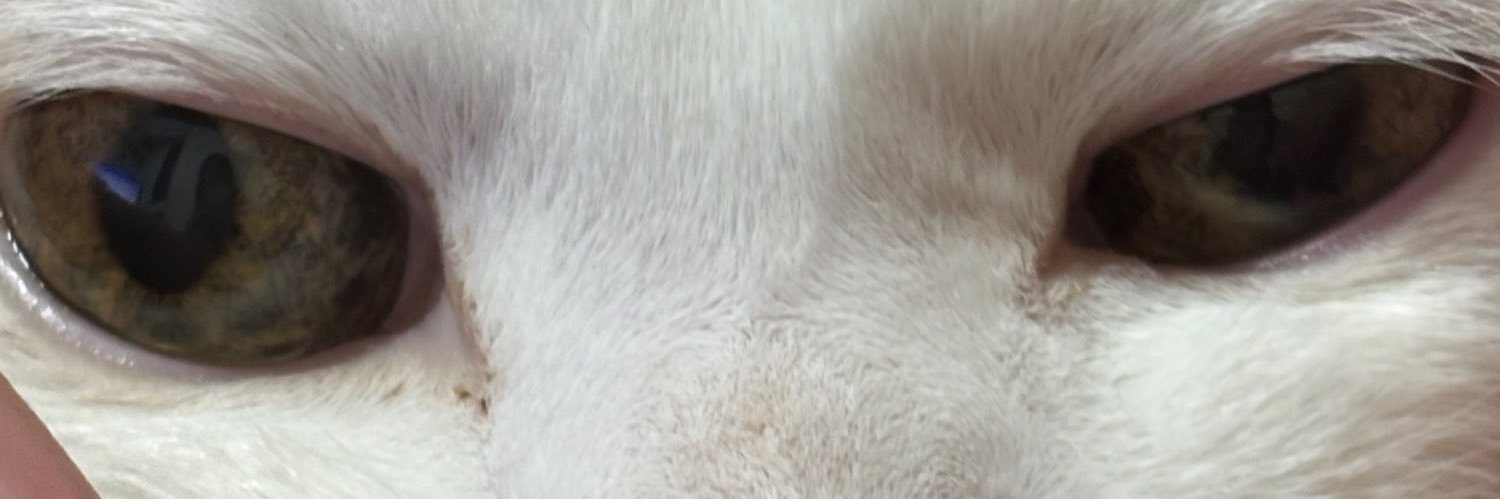 gr_0106's profile banner image