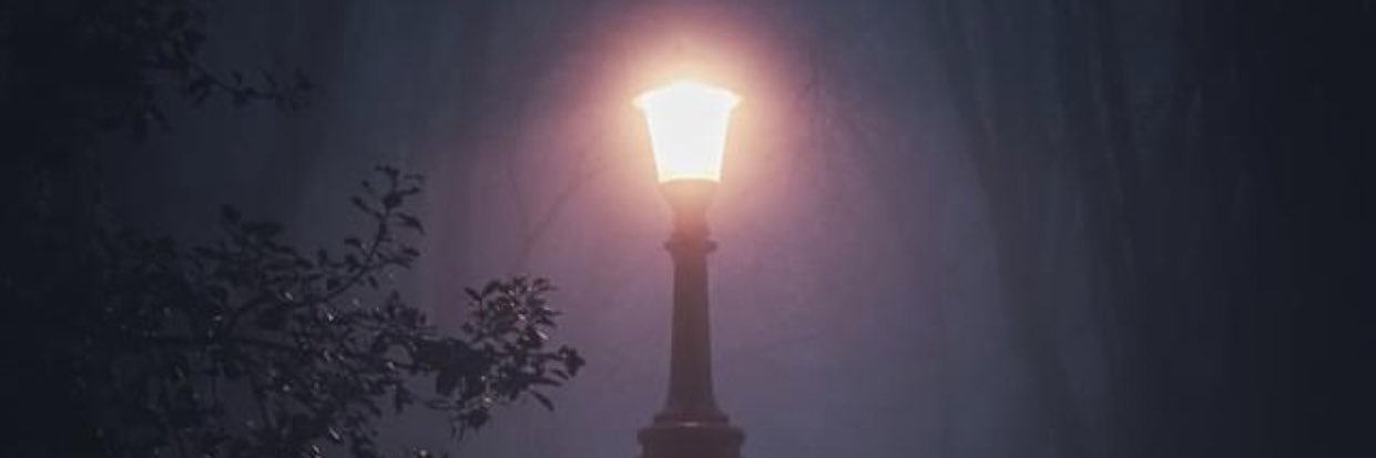 AmandaLei's profile banner image