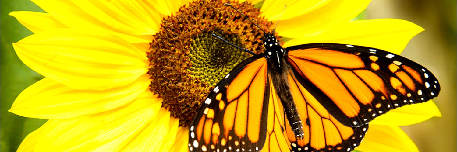 ChangeWorldArt's profile banner image
